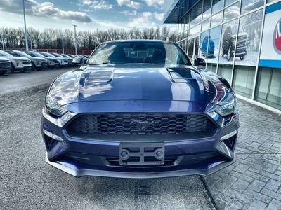 2019 Ford Mustang EcoBoost