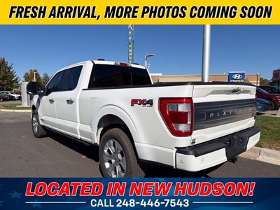 2023 Ford F-150 Platinum