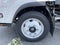 2024 Chevrolet Low Cab Forward 4500 2WD Reg Cab 132.5