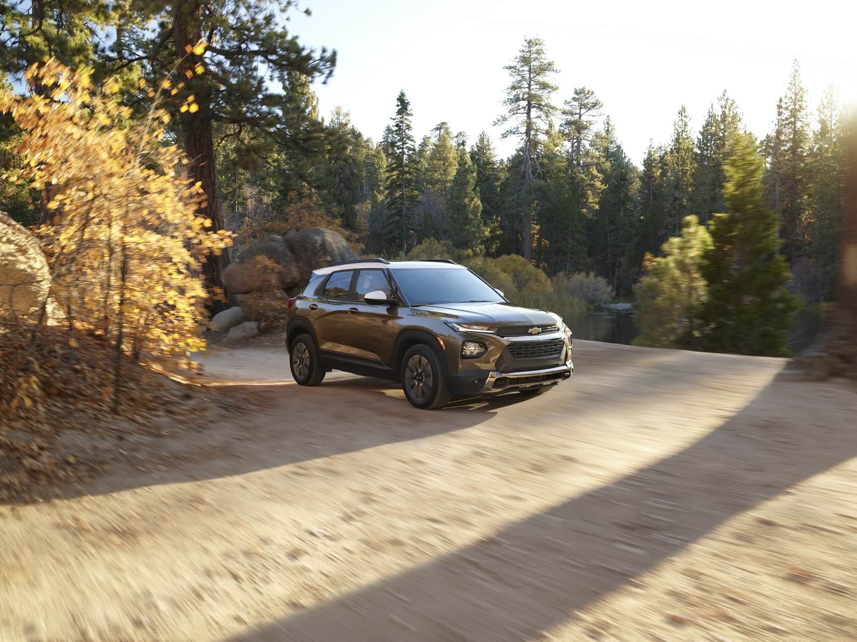 Things to Do in Parma, OH