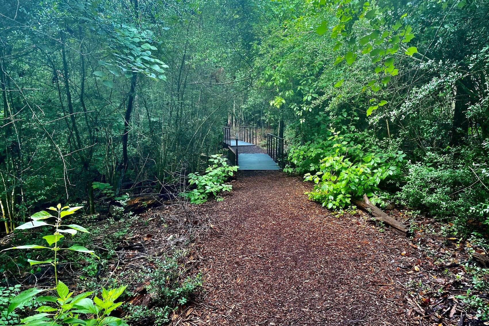 Mark Wahlberg Chevrolet of Avon in Avon OH